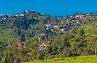 green trees and houses on mountain during daytime
