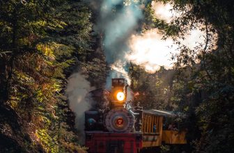 gray and red train running on rail in between trees at daytime