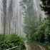 Ooty best time to visit